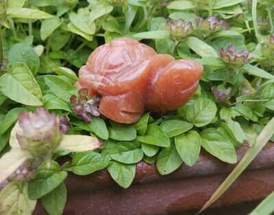 Peach Aventurine Turtle (Only 1 available)