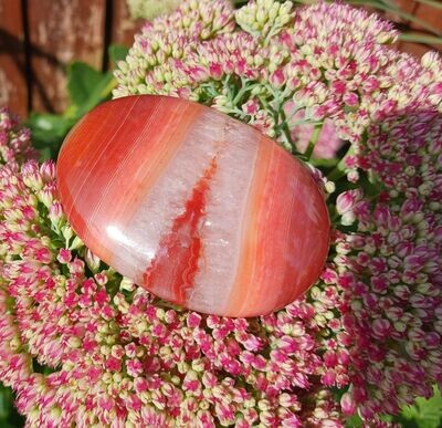 Carnelian Palmstone (Only 1 available)