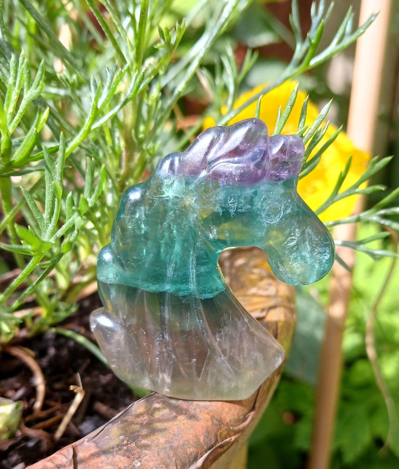 Fluorite Unicorn  (Only 1 available)