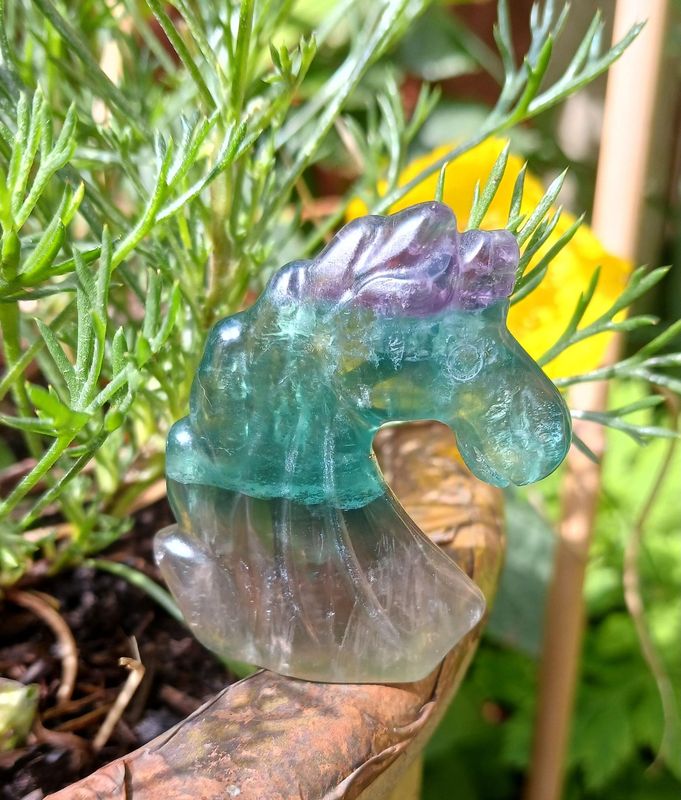 Fluorite Unicorn  (Only 1 available)