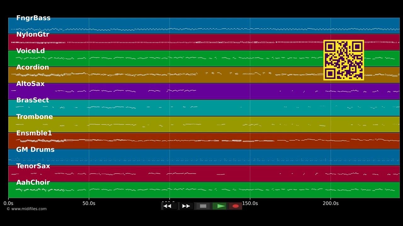 Schunkelparty - Joe Raphael &amp; Party-Singers (MIDI Karaoke)