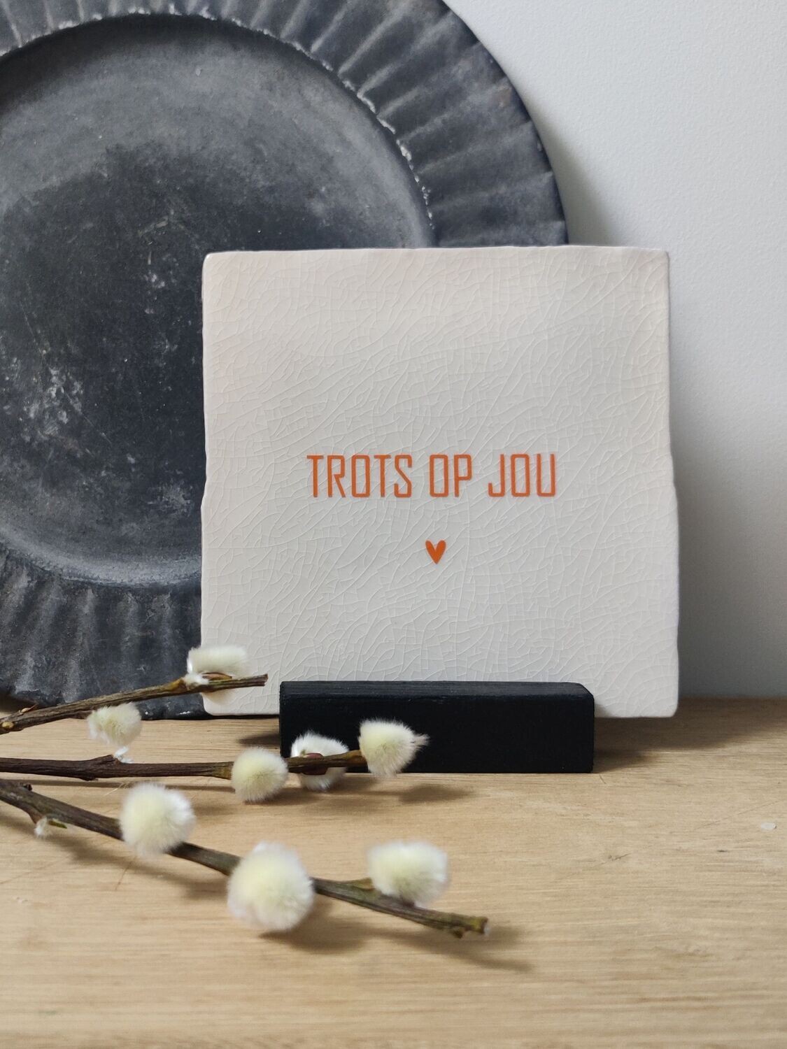 Tegeltje 'TROTS OP JOU'