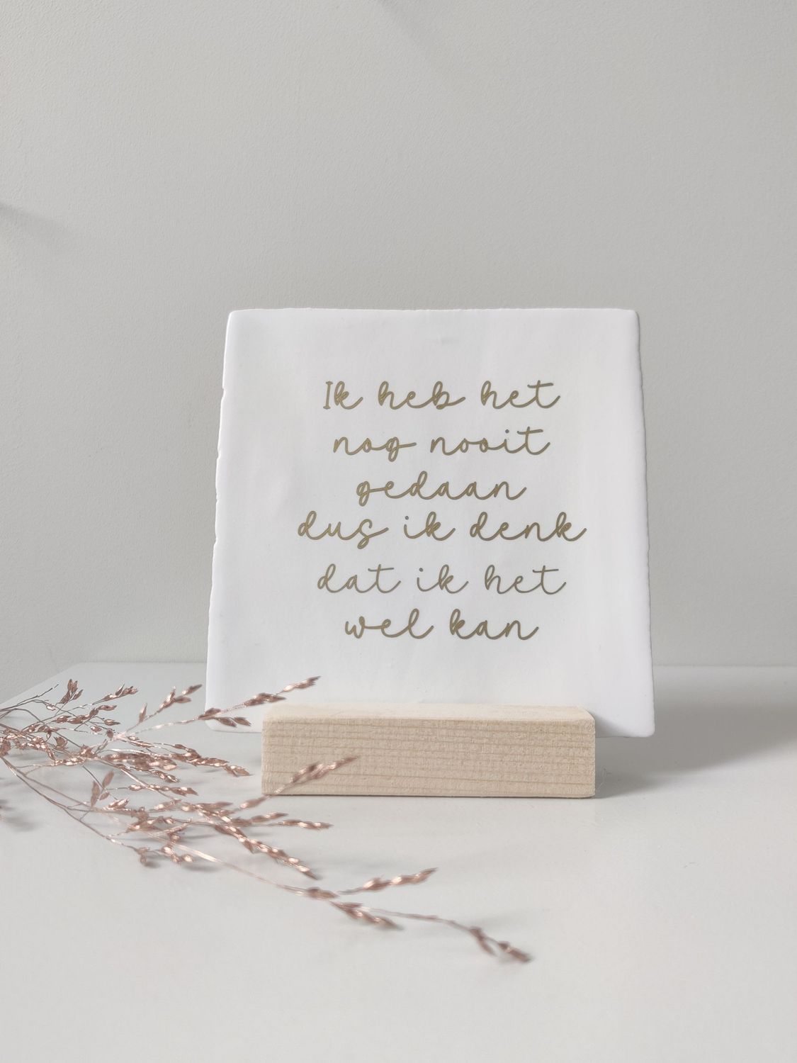 Tegeltje 'Ik heb het nog nooit gedaan'