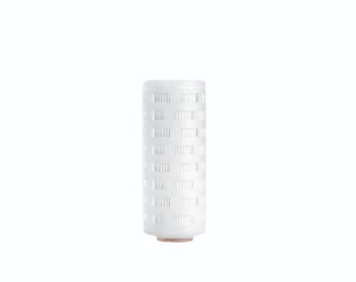 Filtre, produit compatible en remplacement du modèle: 5181507T9 Sartofluor Mini Cartridge 0.2 µm Size 9