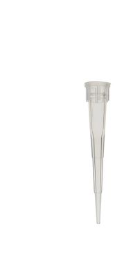 Pointes pour micropipette 0,5 – 10 μL Pointes pour micropipette 0,5 – 10 μL