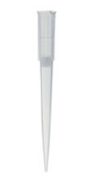 Pointes stériles avec filtre pour micropipette 200 μL Pointes stériles avec filtre pour micropipette 200 μL