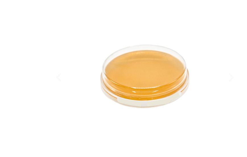 lot Boite Gélose YGC (Glucose-Extrait de Levure Chloramphénicol) lot Boite Gélose YGC (Glucose-Extrait de Levure Chloramphénicol)