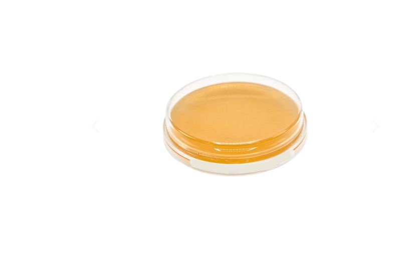 lot Boite Gélose YGC (Glucose-Extrait de Levure Chloramphénicol)