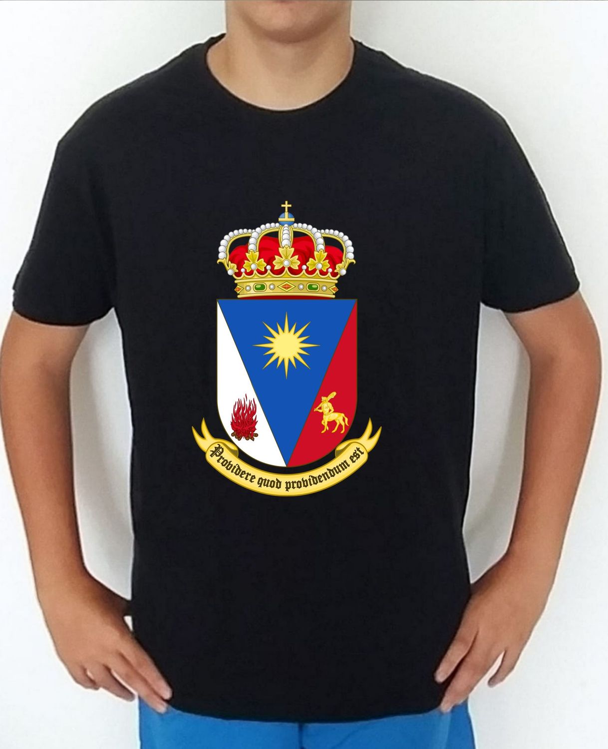 Ejército Tierra nº 4 Academia Militar De Ávila