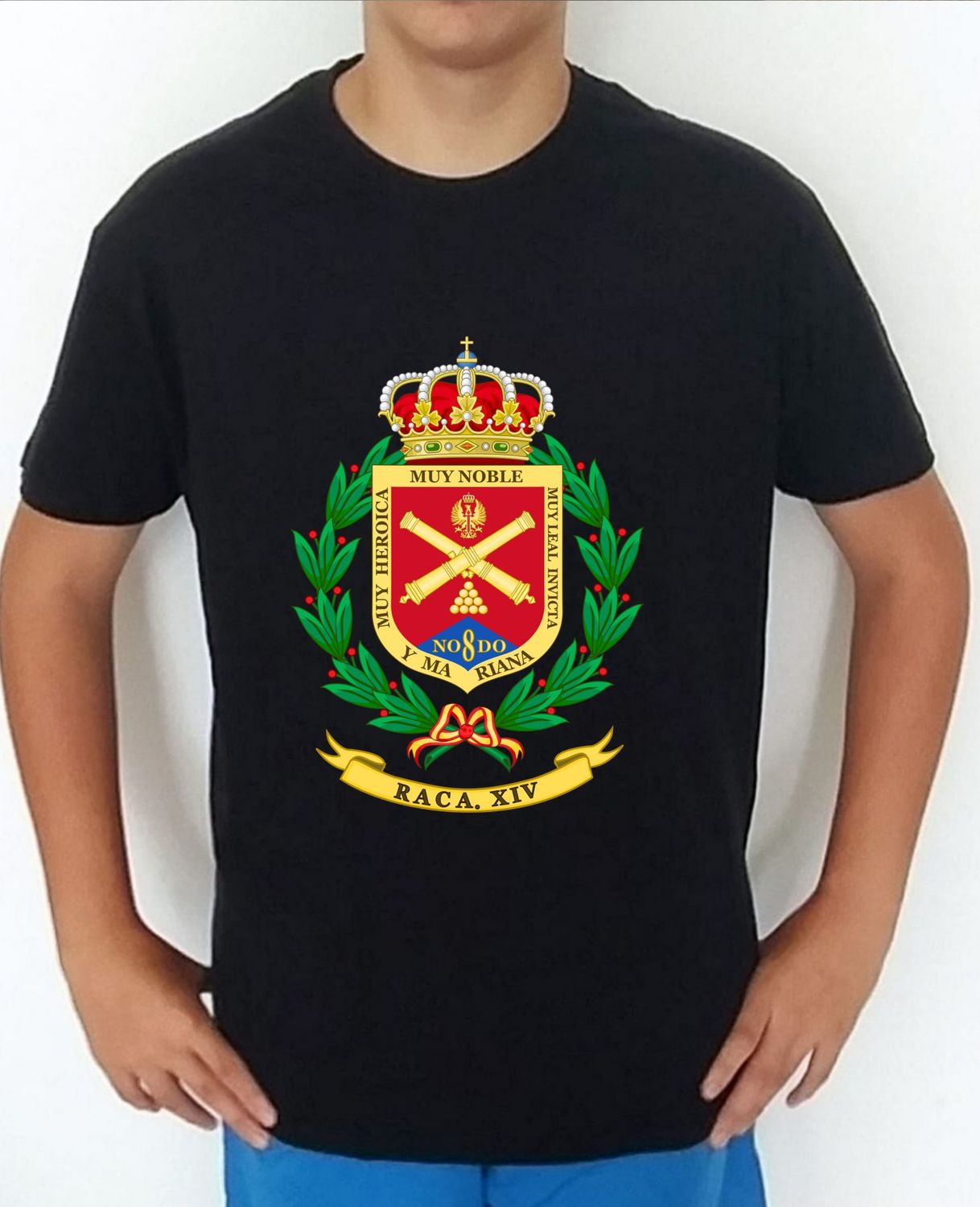 Ejército Tierra nº 30 Regimiento Artillería De Campaña nº 14 RACA 14