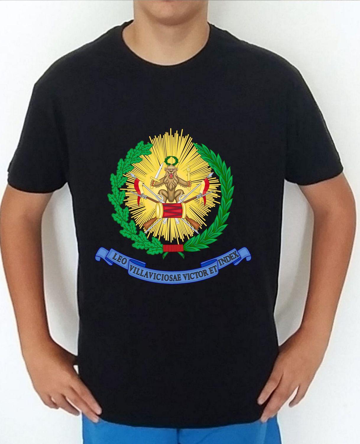 Ejército Tierra nº 31 Regimiento De Caballería "Villaviciosa"