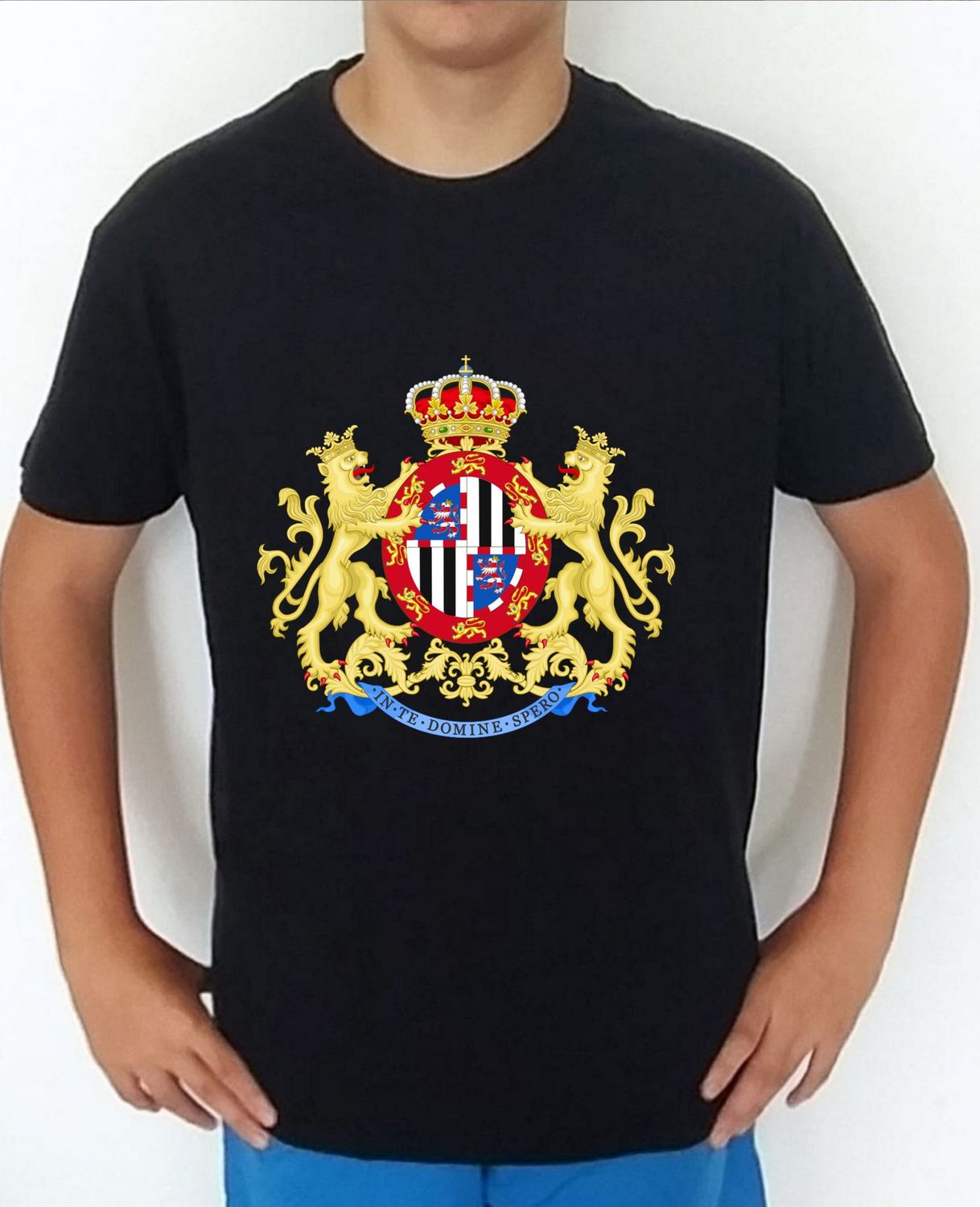 Ejército Tierra nº 27 Regimiento Cazadores "Victoria Eugenia"