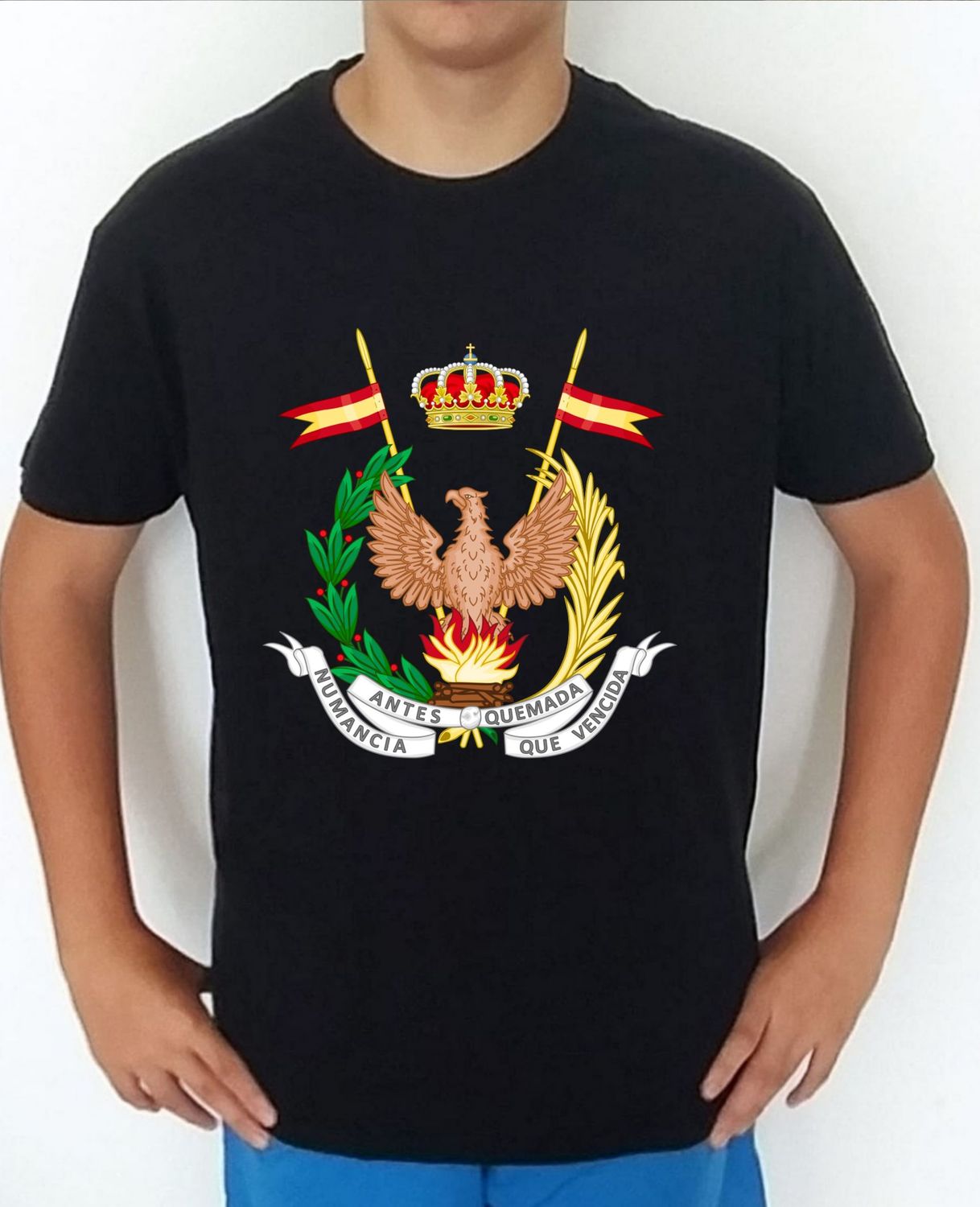 Ejército Tierra nº 36 Regimiento De Caballería "Numancia"