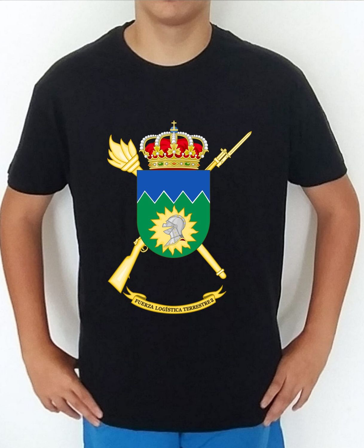 Ejército Tierra nº 42 Fuerza Logística Terrestre nº 2 FLT-2
