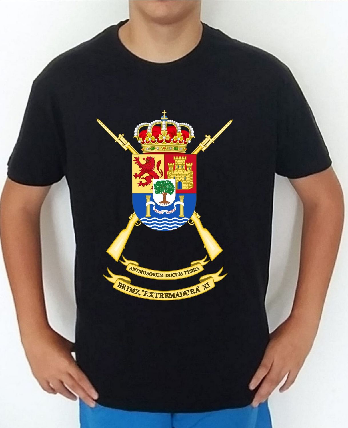 Ejército Tierra nº 46 Brigada Infantería Mecanizada Extremadura nº 11 BRIMZ-11