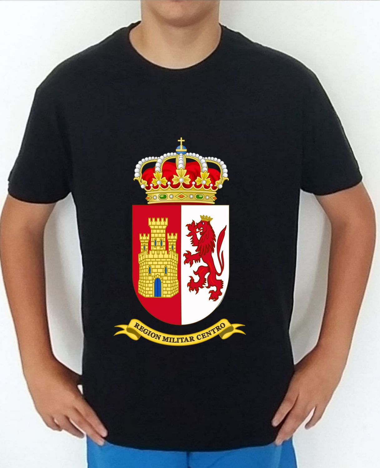 Ejército Tierra nº 74 1a Región Militar "Centro"