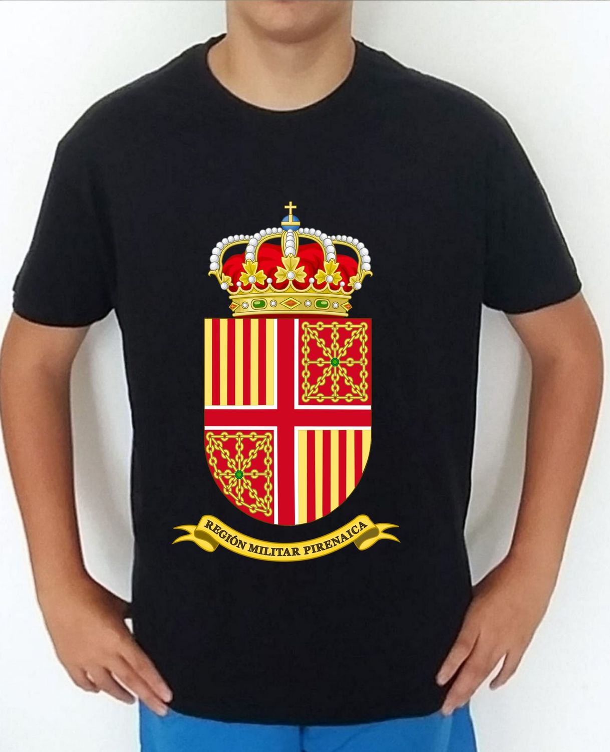 Ejército Tierra nº 72 3a Región Militar Pirenaica