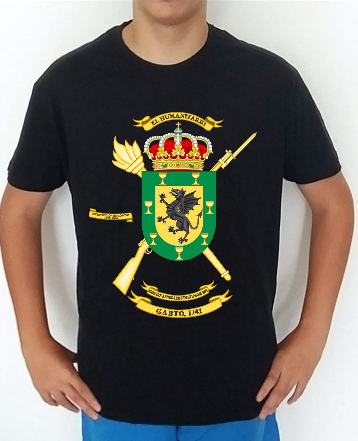 Ejército Tierra nº 169 Compañía Abastecimiento 1/41 GABTO I/41 De AALOG 41