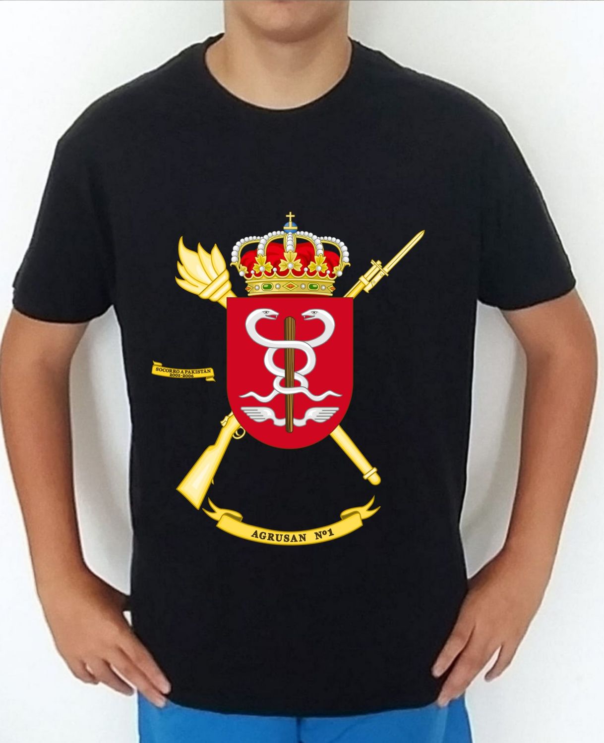 Ejército Tierra nº 196 Agrupación Sanidad nº 1 AGRUSAN-1
