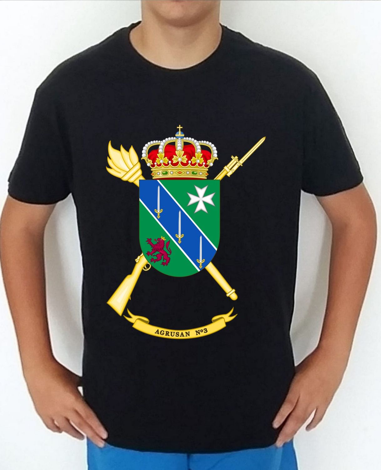 Ejército Tierra nº 197 Agrupación Sanidad nº 3 AGRUSAN-3
