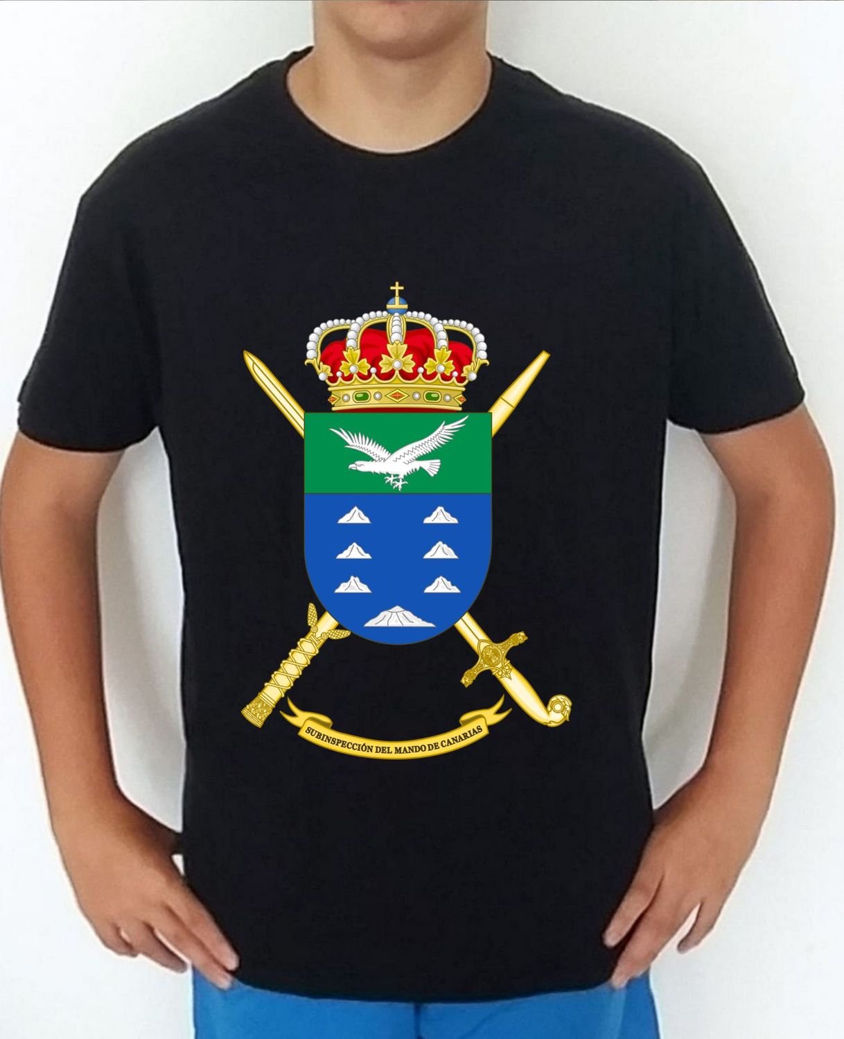 Ejército Tierra nº 218 SUIGECAN V Subinspección General Ejército Canarias