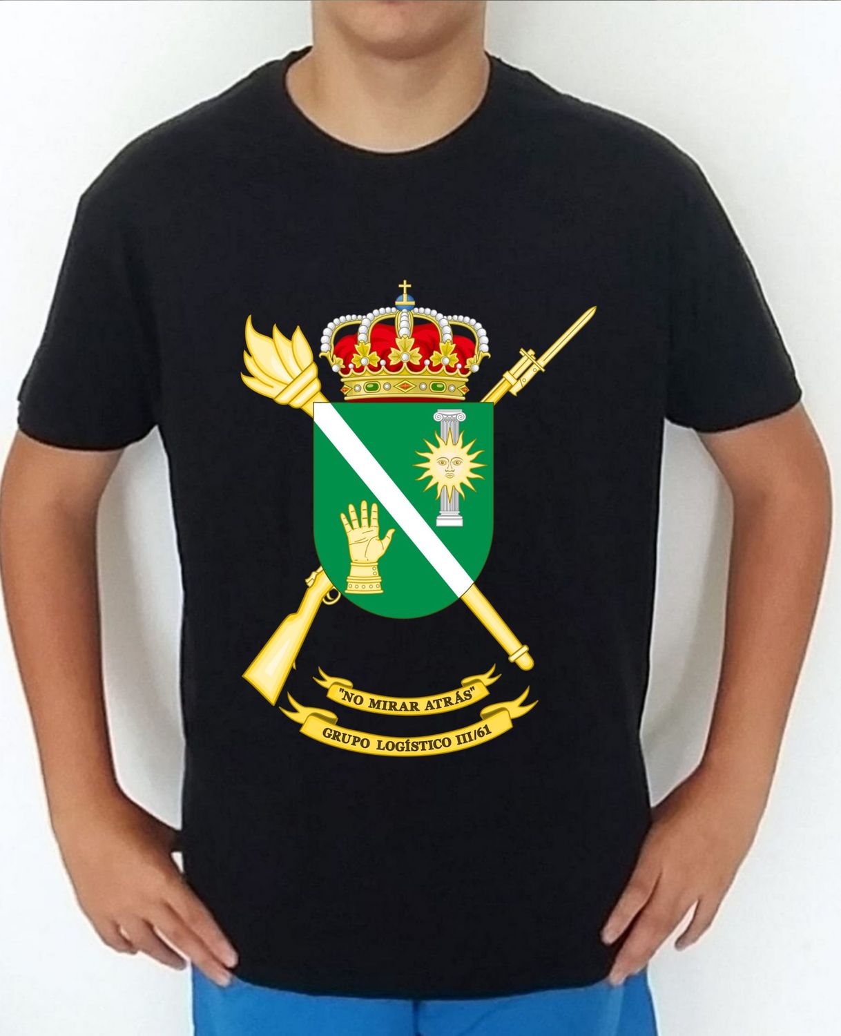 Ejército Tierra nº 239 Grupo Logístico II/61 GLOG-III/61