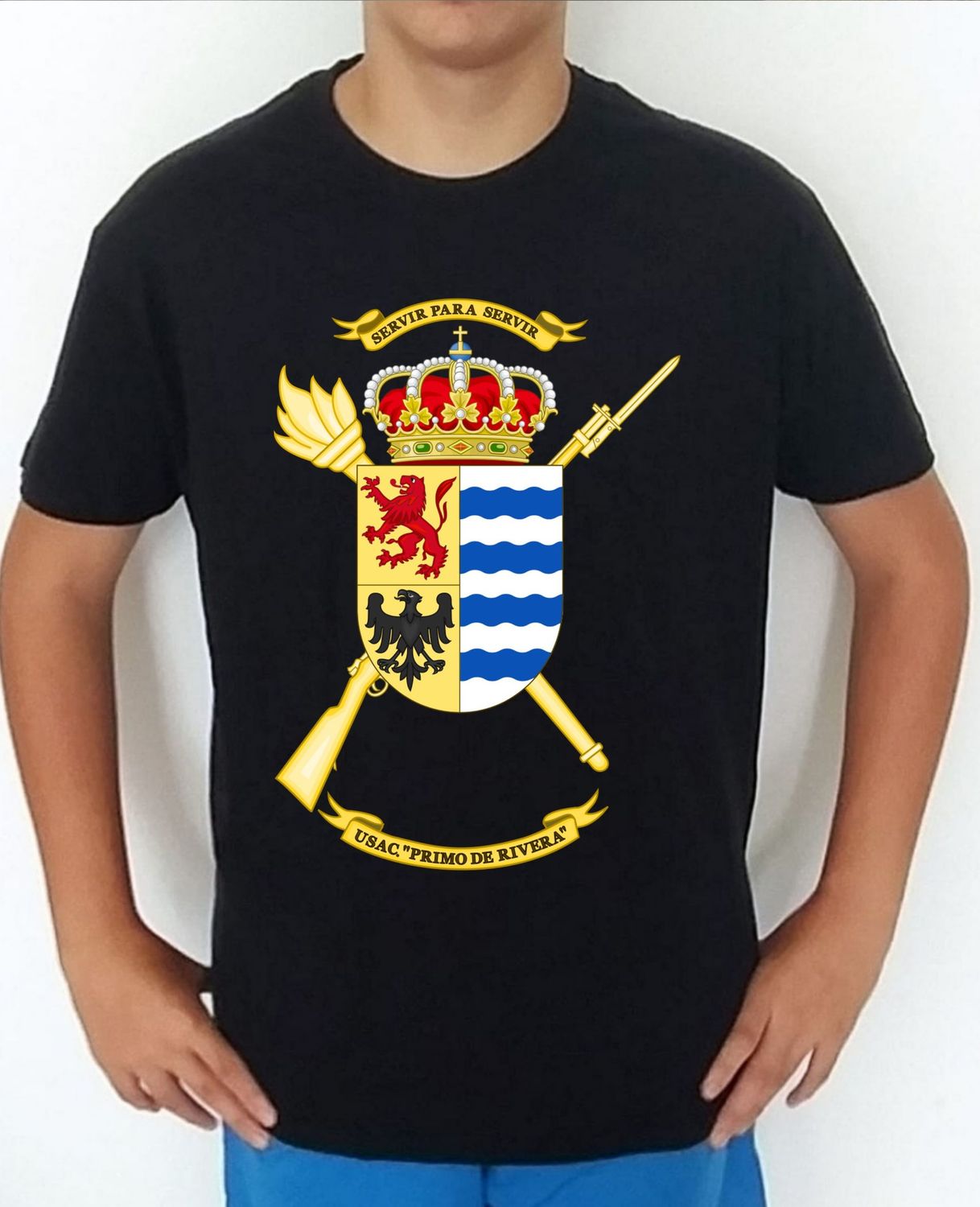 Ejército Tierra nº 253 Unidad Servicio Acuartelamiento Primo Rivera BRIPAC USAC Almogávares VI