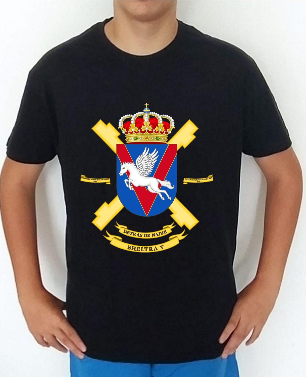 Ejército Tierra nº 291 Batallón Helicópteros De Transporte V BHELTRA-V