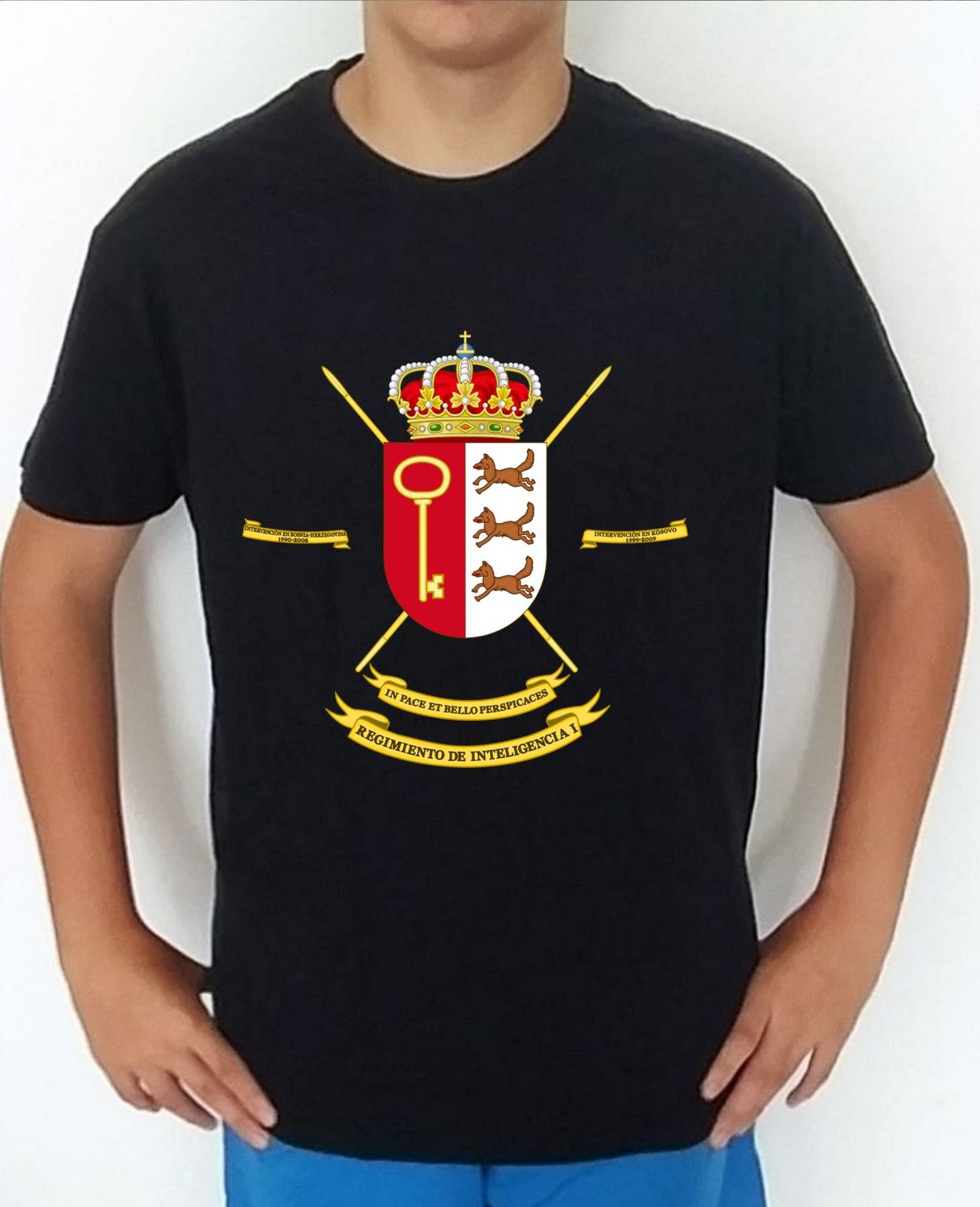 Ejército Tierra nº 298 Regimiento De Inteligencia nº 1 RINT-1