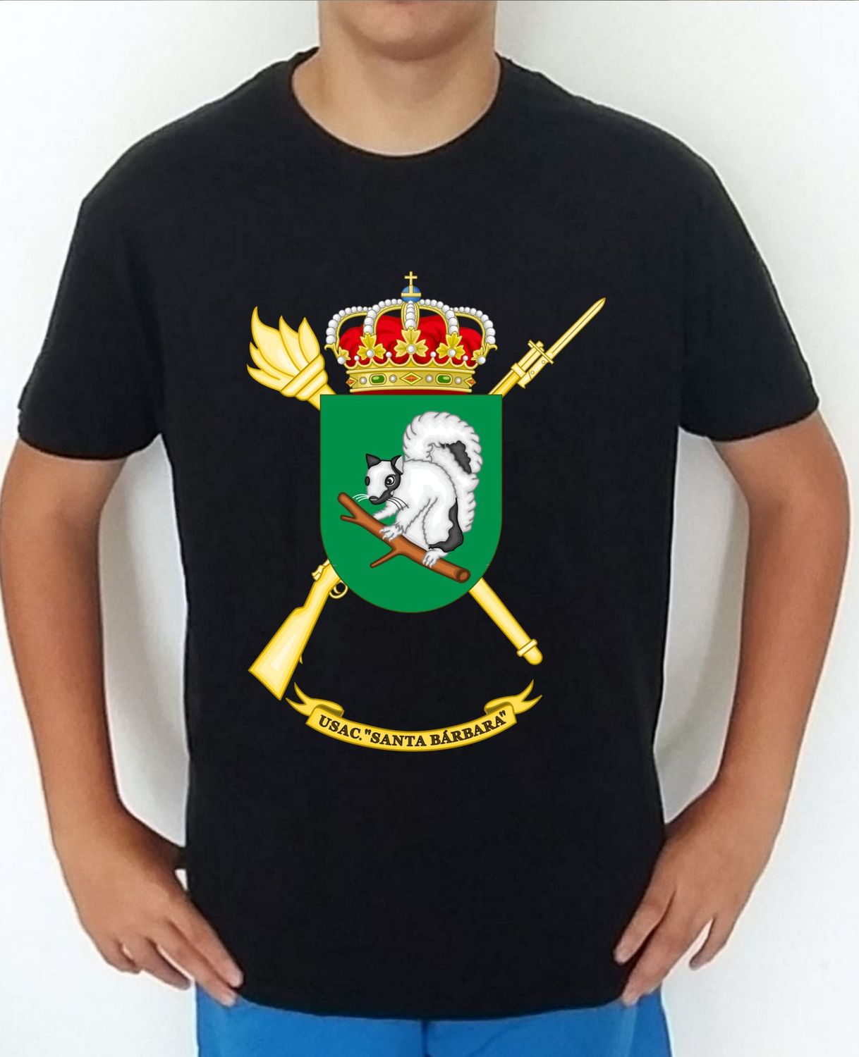 Ejército Tierra nº 254 Unidad Servicio Acuartelamiento Santa Bárbara BRIPAC USAC Almogávares VI