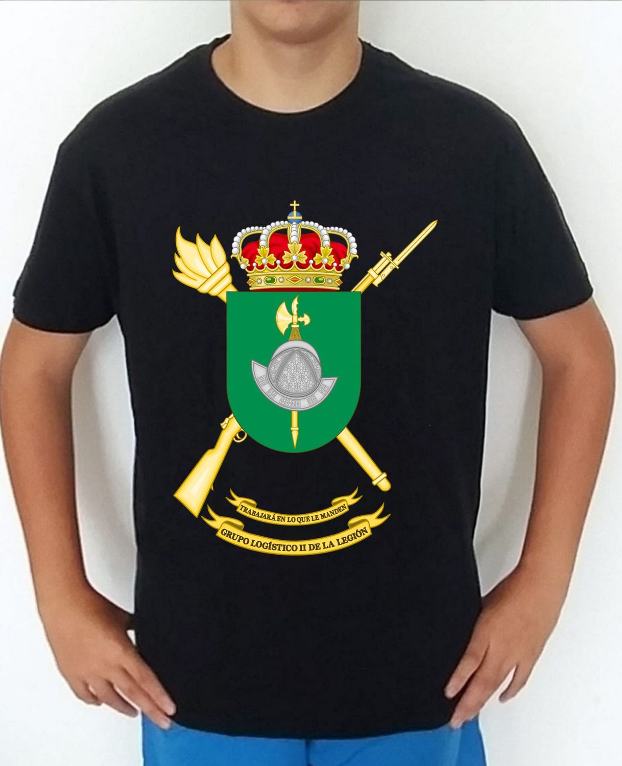 Ejército Tierra nº 272 Grupo Logístico II De La Legión Española
GLLEG-II