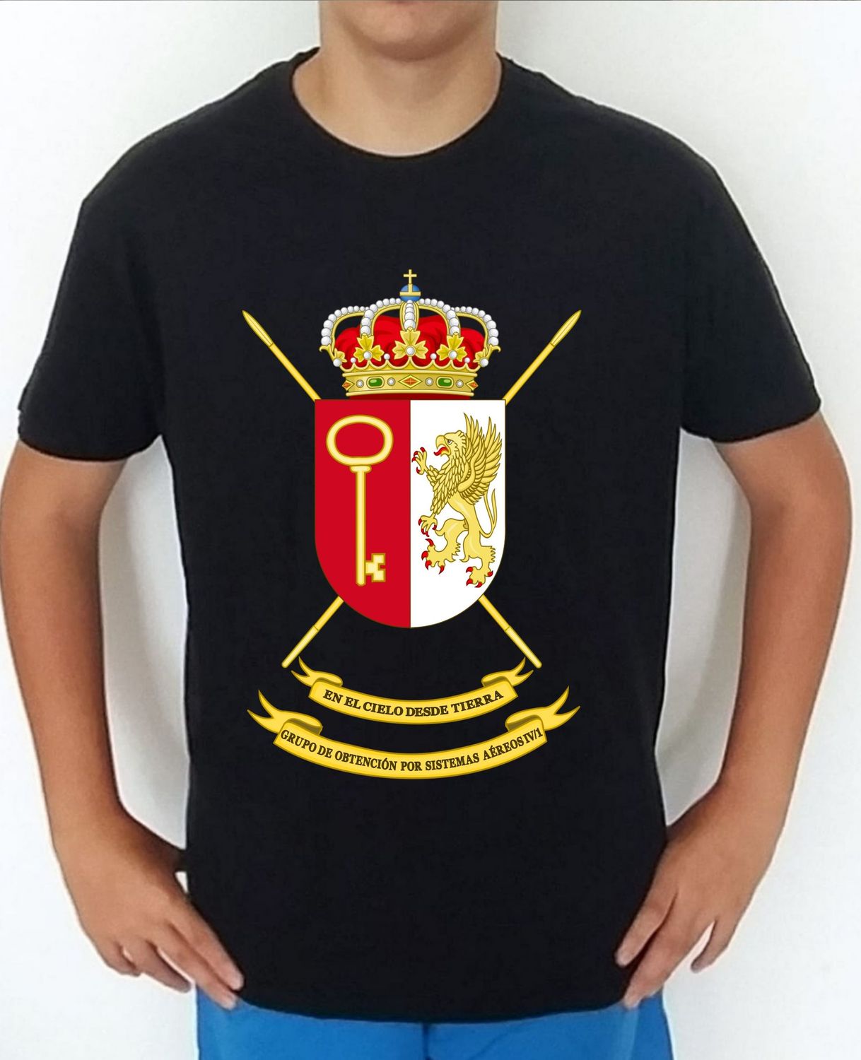 Ejército Tierra nº 301 Grupo Obtención Por Sistemas Aéreos GROSA-IV/1