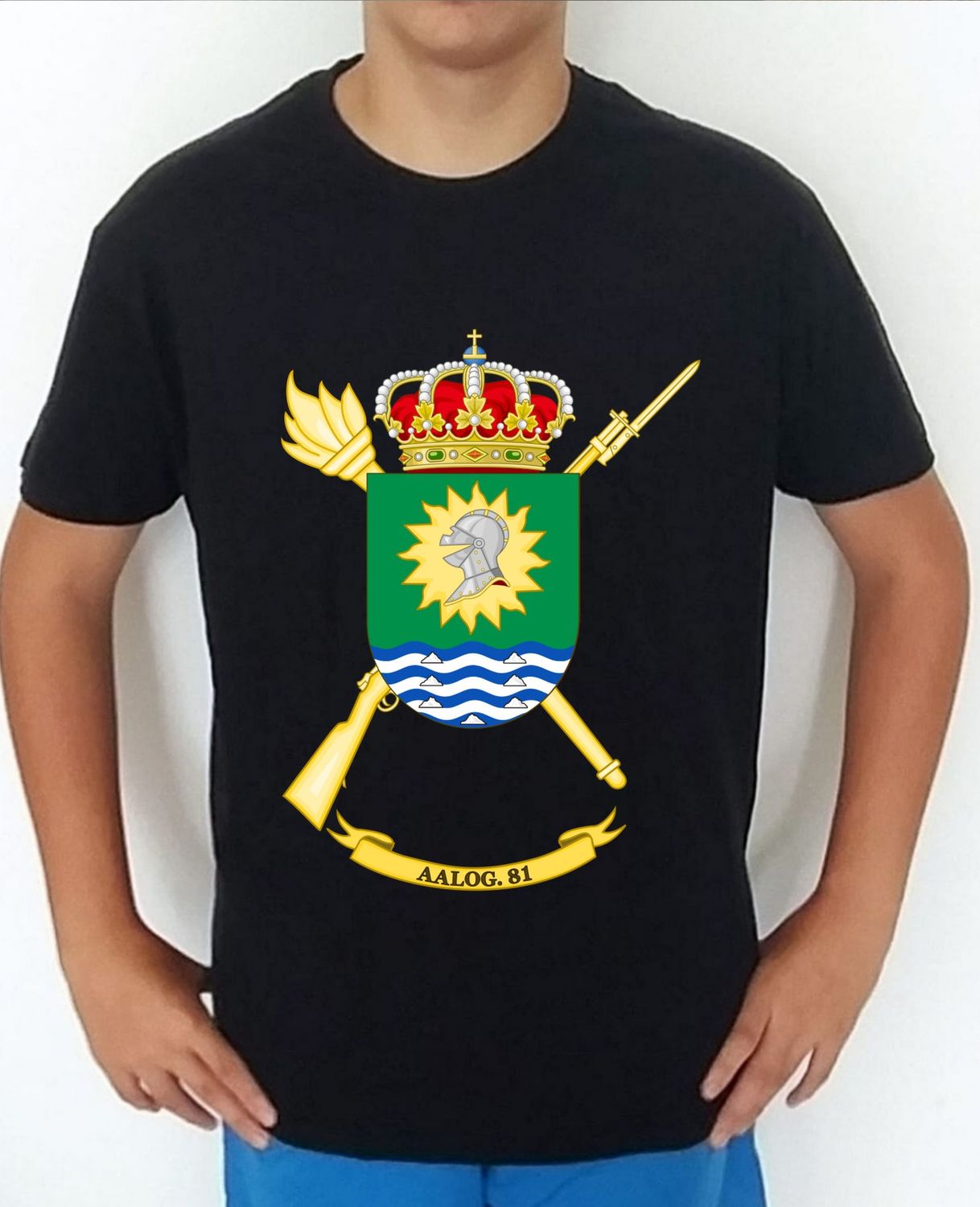 Ejército Tierra nº 315 Agrupación De Apoyo Logístico nº 81 AALOG-81