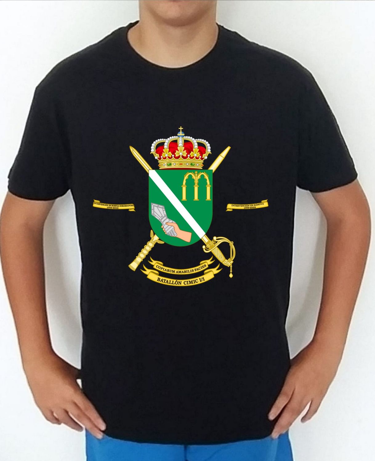 Ejército Tierra nº 303 Batallón Cooperación Cívico Militar nº 1 BCIMIC-I/1