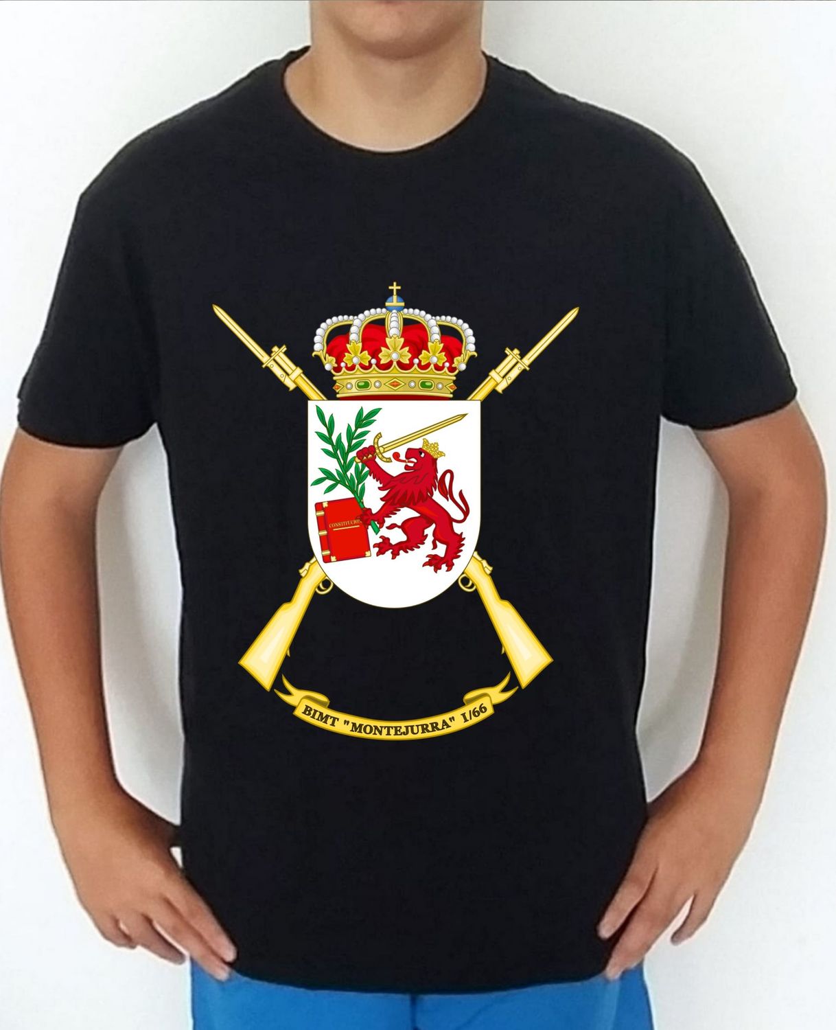 Ejército Tierra nº 322 Batallón Infantería  Motorizada Montejurra I/66 BIMT-I/66