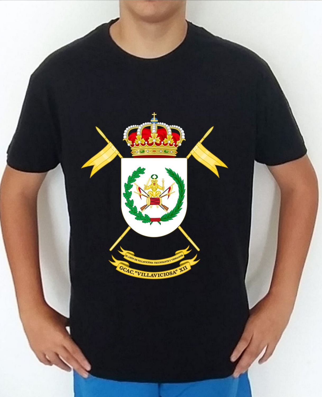 Ejército Tierra nº 333 Grupo Caballería Acorazado Villaviciosa nº 12 GCAC-XII
