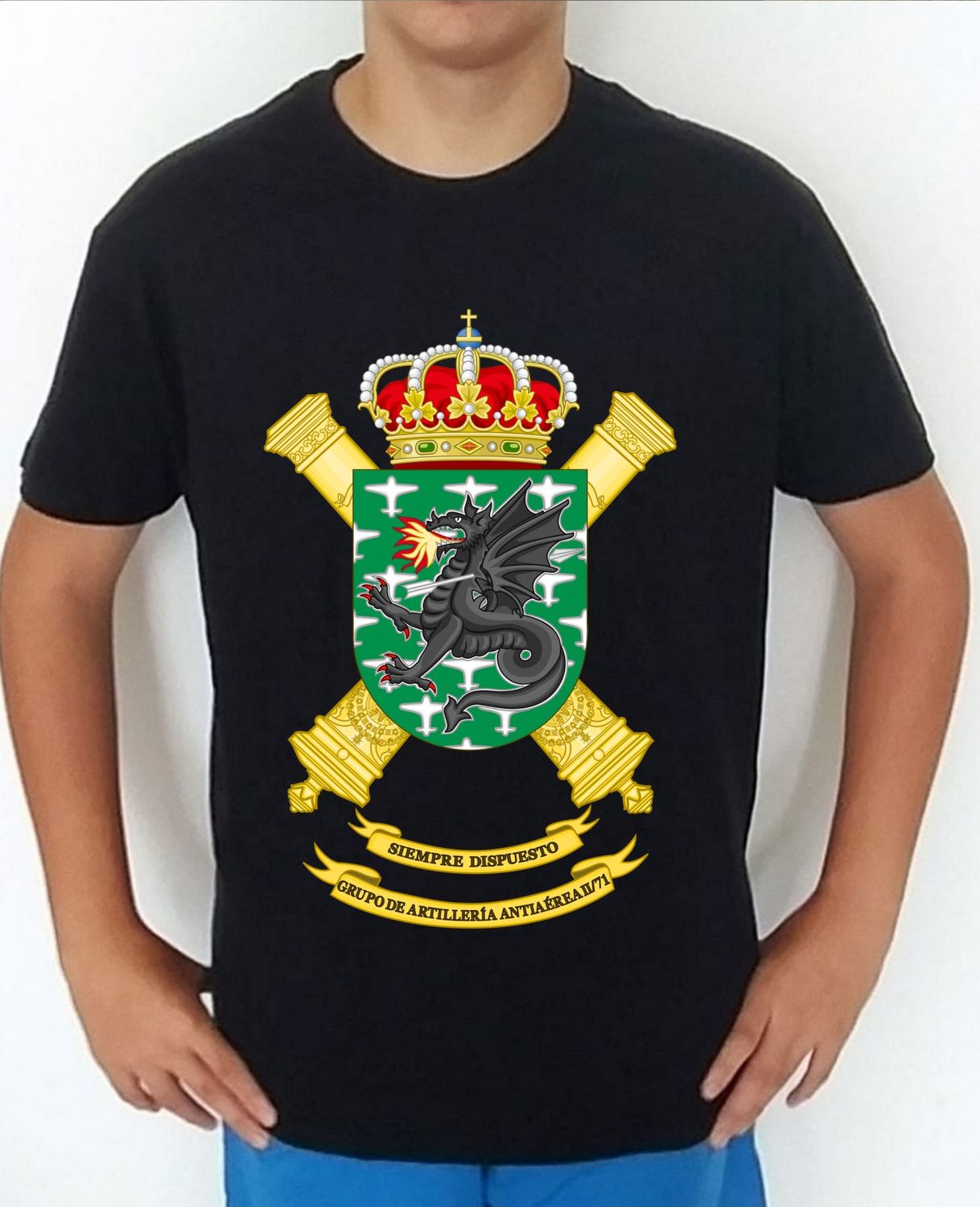 Ejército Tierra nº 351 Grupo De Artillería Antiaérea II/71 GAAA-II/71