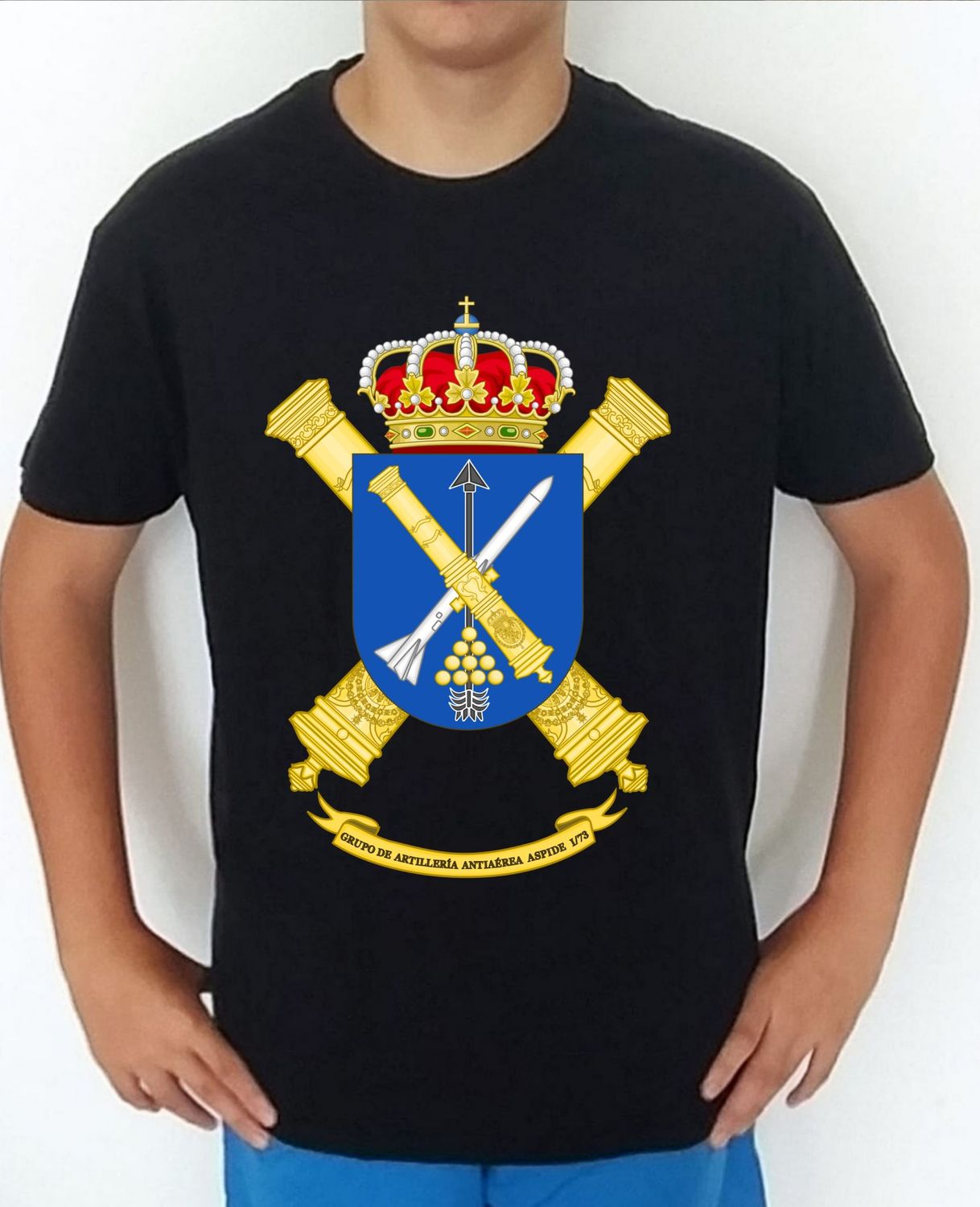 Ejército Tierra nº 352 Grupo De Artillería Antiaérea Aspide I/73 GAAA-ASPIDE-I/73