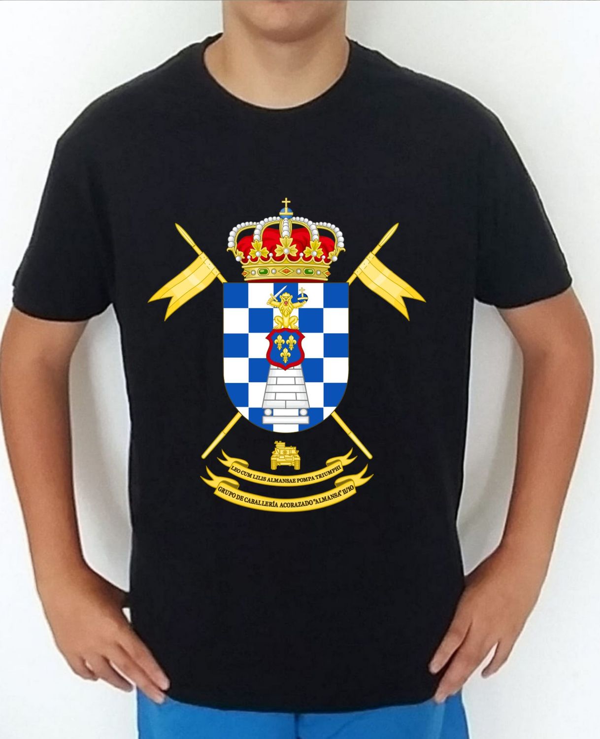 Ejército Tierra nº 328 Grupo Caballería Acorazado Almansa II/10 GCAC-II/10