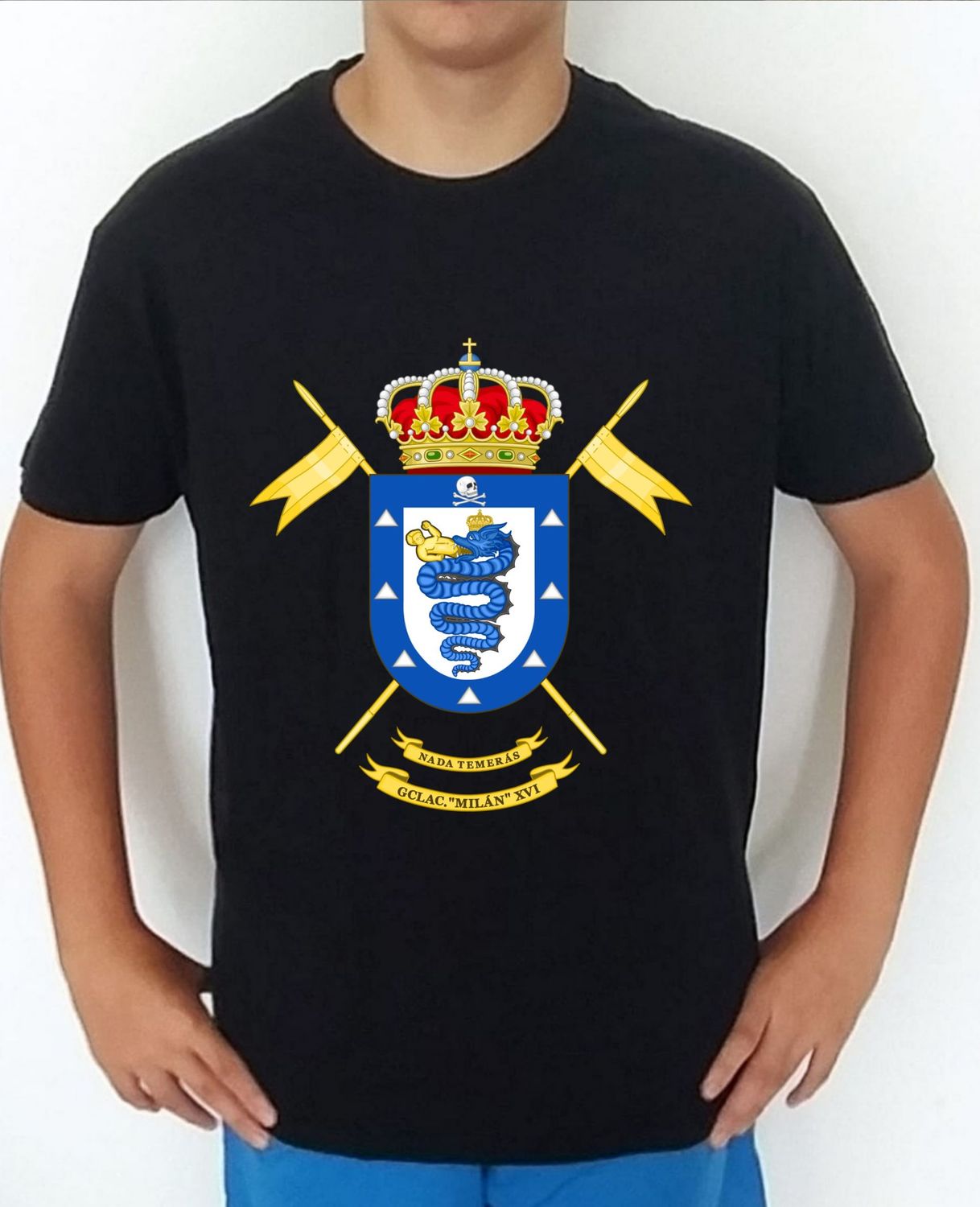 Ejército Tierra nº 334 Grupo Caballería Ligero Acorazado Milán nº 16 GCLAC-XVI