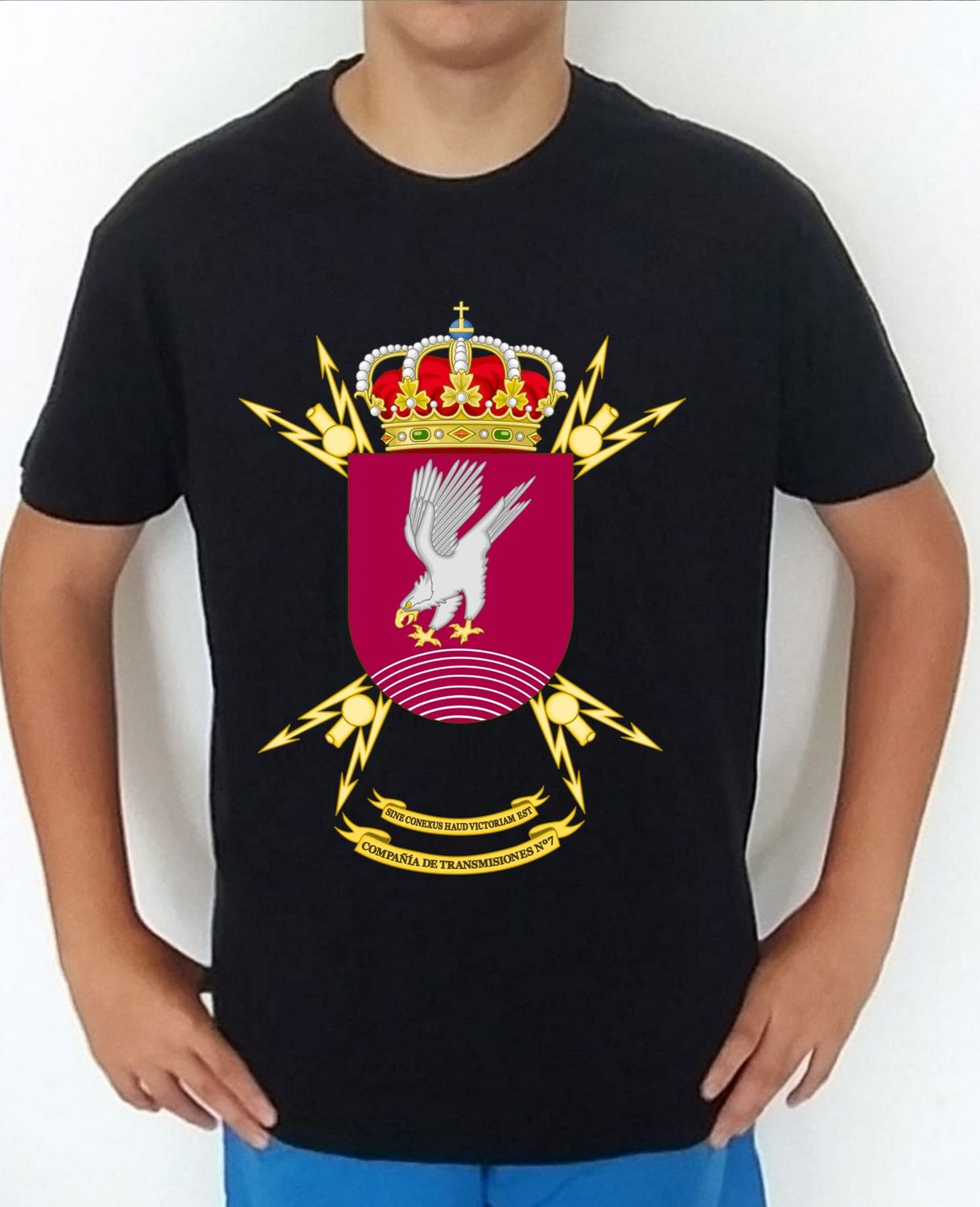 Ejército Tierra nº 373 Compañía Transmisiones nº 7 Brigada Infantería Ligero Aerotransportada Galicia 7 CIATRANS-7