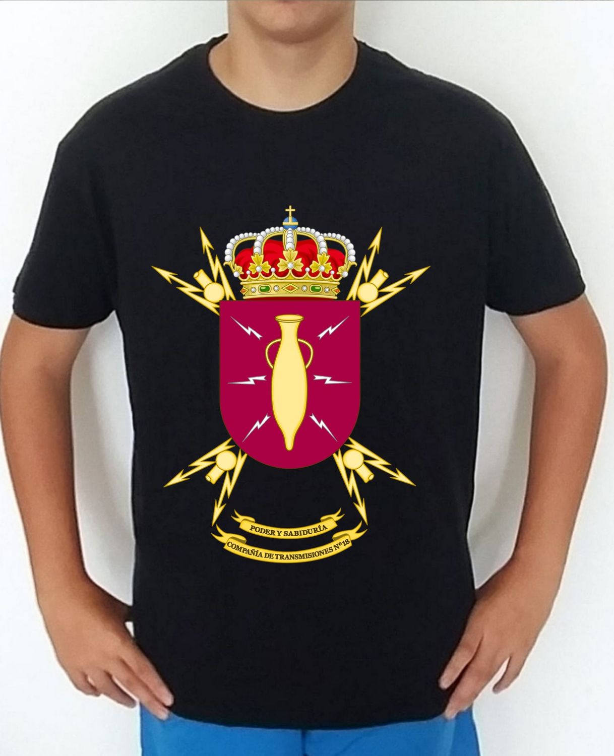 Ejército Tierra nº 379 Compañía Transmisiones nº 18 CIATRANS-18