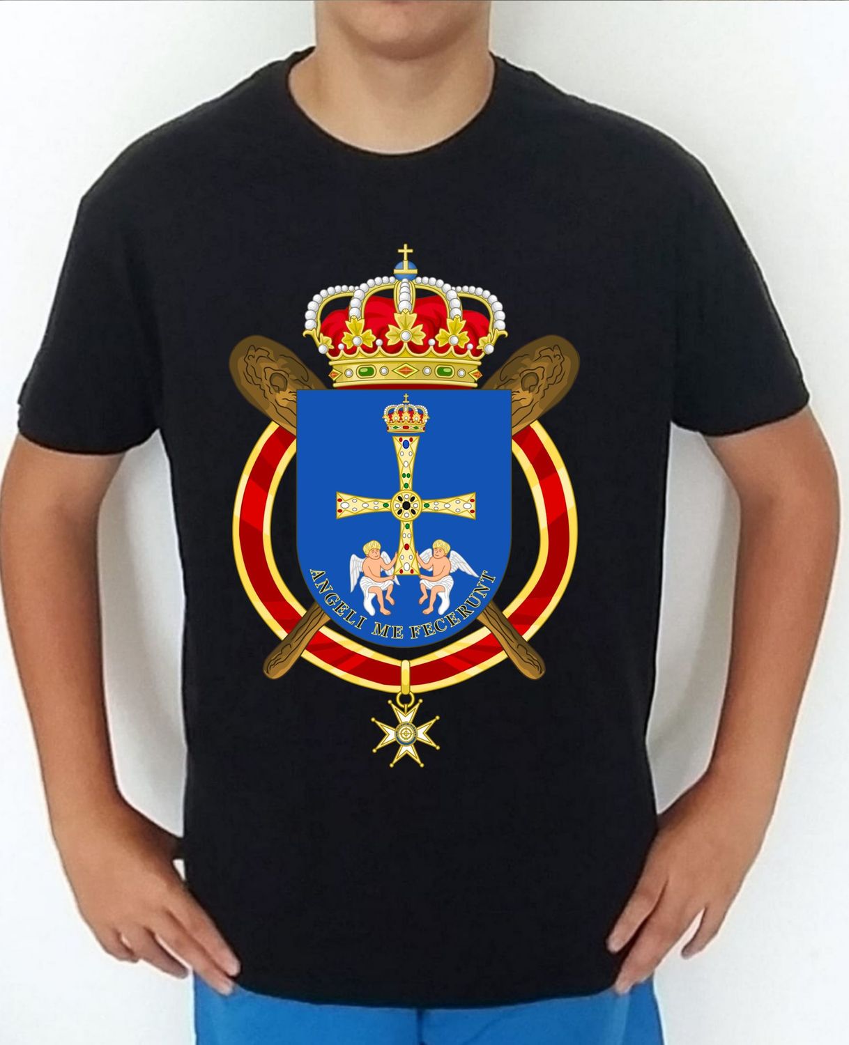 Ejército Tierra nº 419 Regimiento Infantería Mecanizada Asturias nº31 RIMZ-31 El Cangrejo