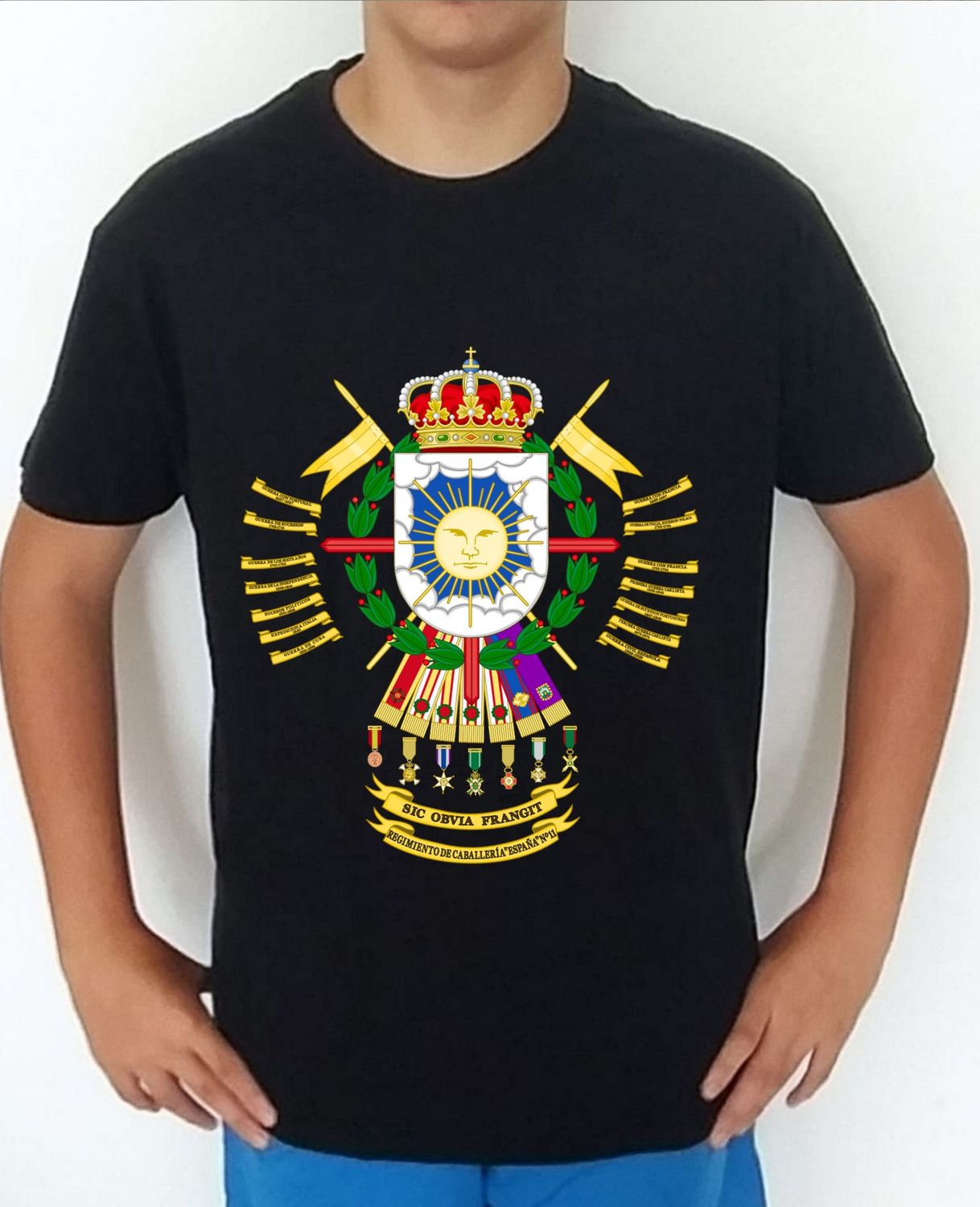 Ejército Tierra nº 434 Regimiento De Caballería nº 11 España RC-11