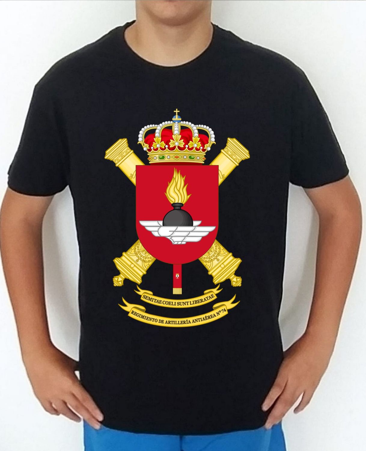 Ejército Tierra nº 446 Regimiento Artillería Antiaérea nº 74 RAAA-74