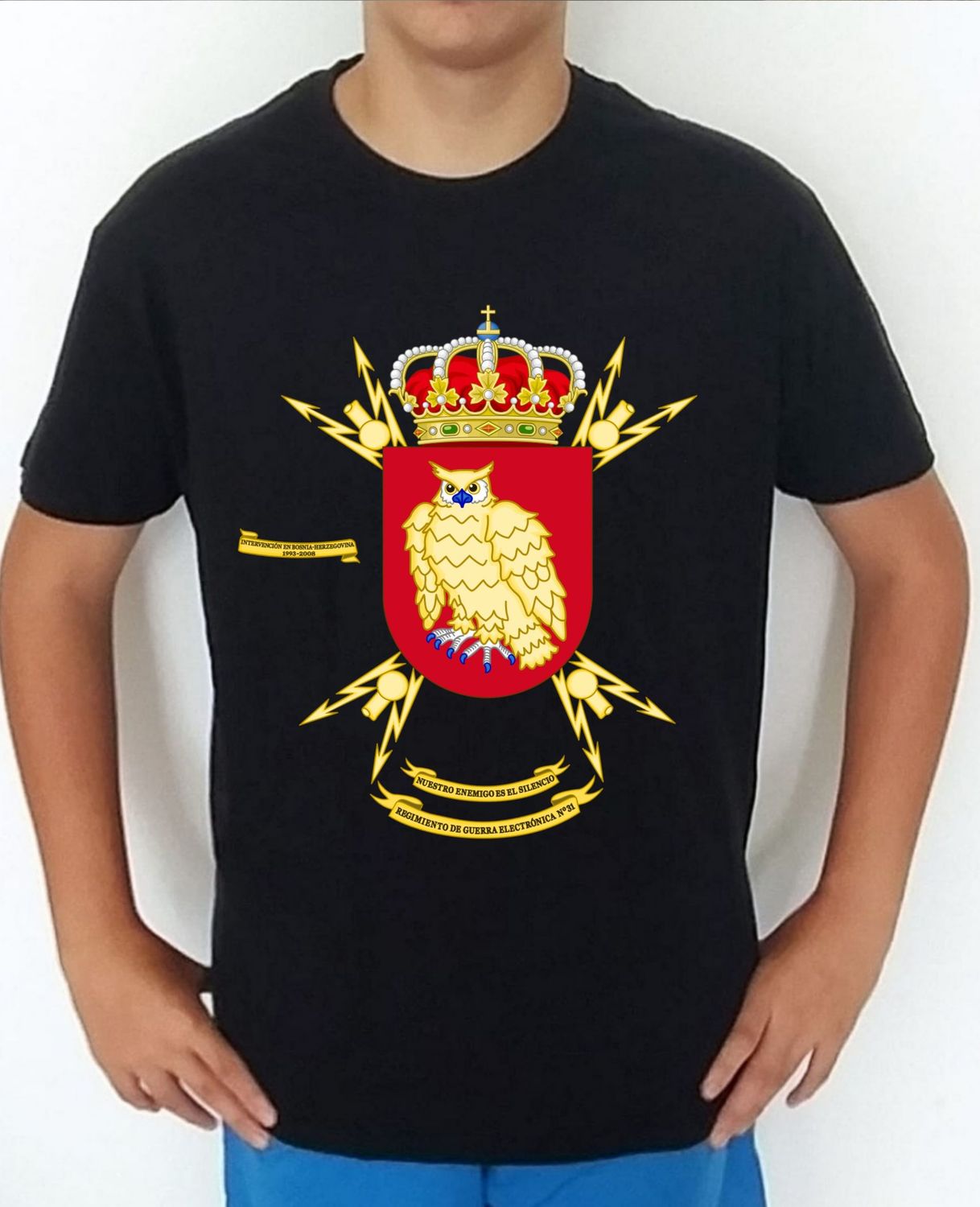 Ejército Tierra nº 456 Regimiento de Guerra Eléctronica nº 31 REW-31