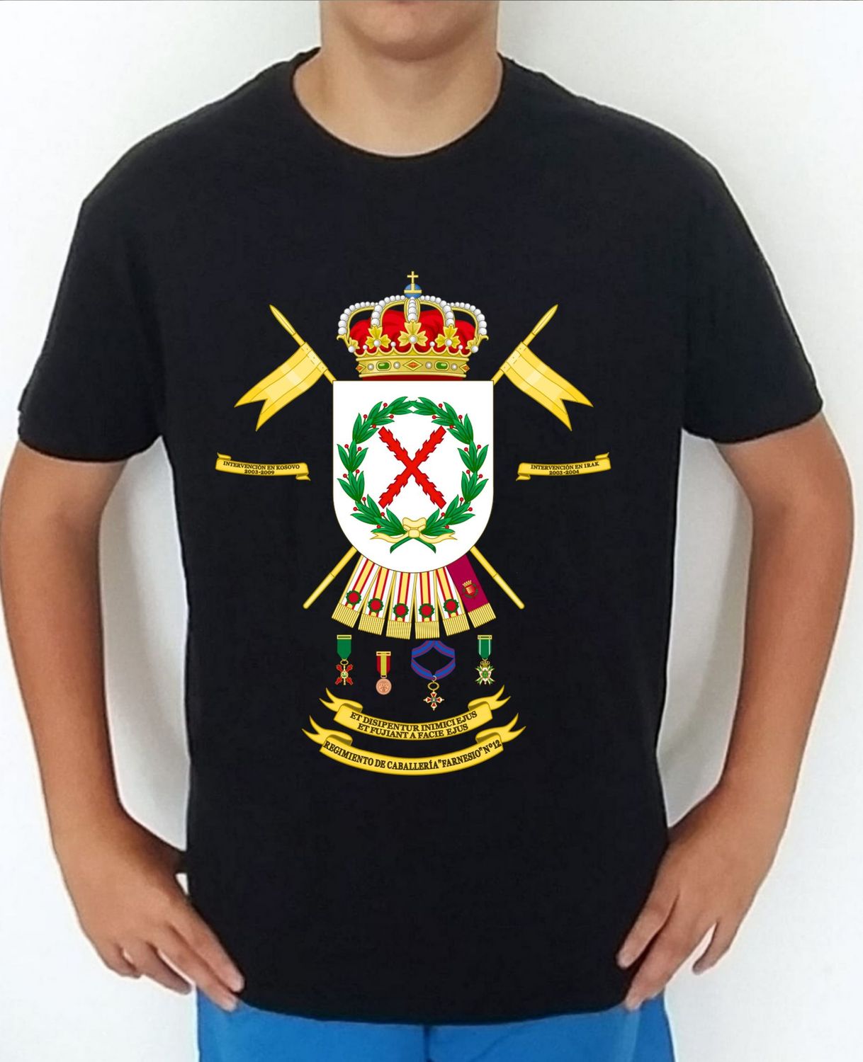 Ejército Tierra nº 435 Regimiento De Caballería nº 12 Farnesio RC-12