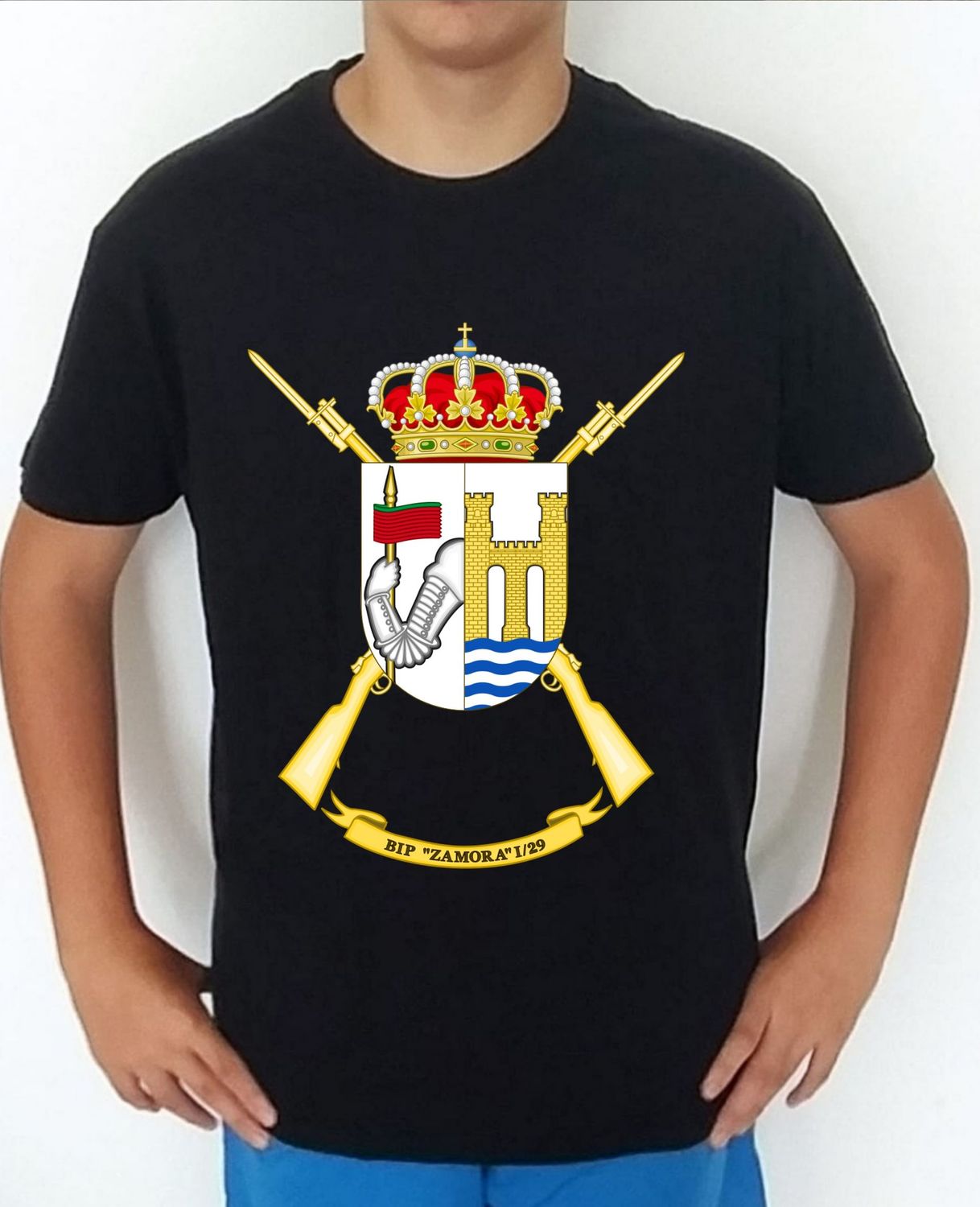 Ejército Tierra nº 470 Batallón Infantería Protegida Zamora BIP-I/29
