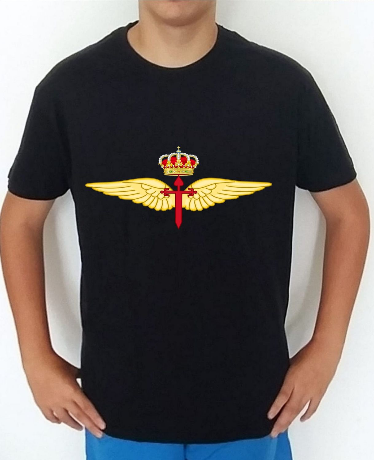 Ejército Tierra nº 498 Fuerzas Aeromóviles Ejército Tierra FAMET