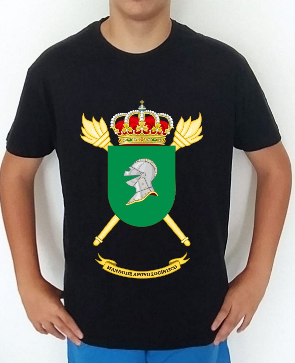 Ejército Tierra nº 506 Mando Apoyo Logístico MALE